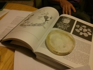 BARMPetriParty-BookPetri