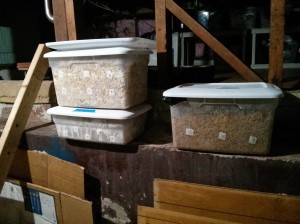 Monotubs in the basement.